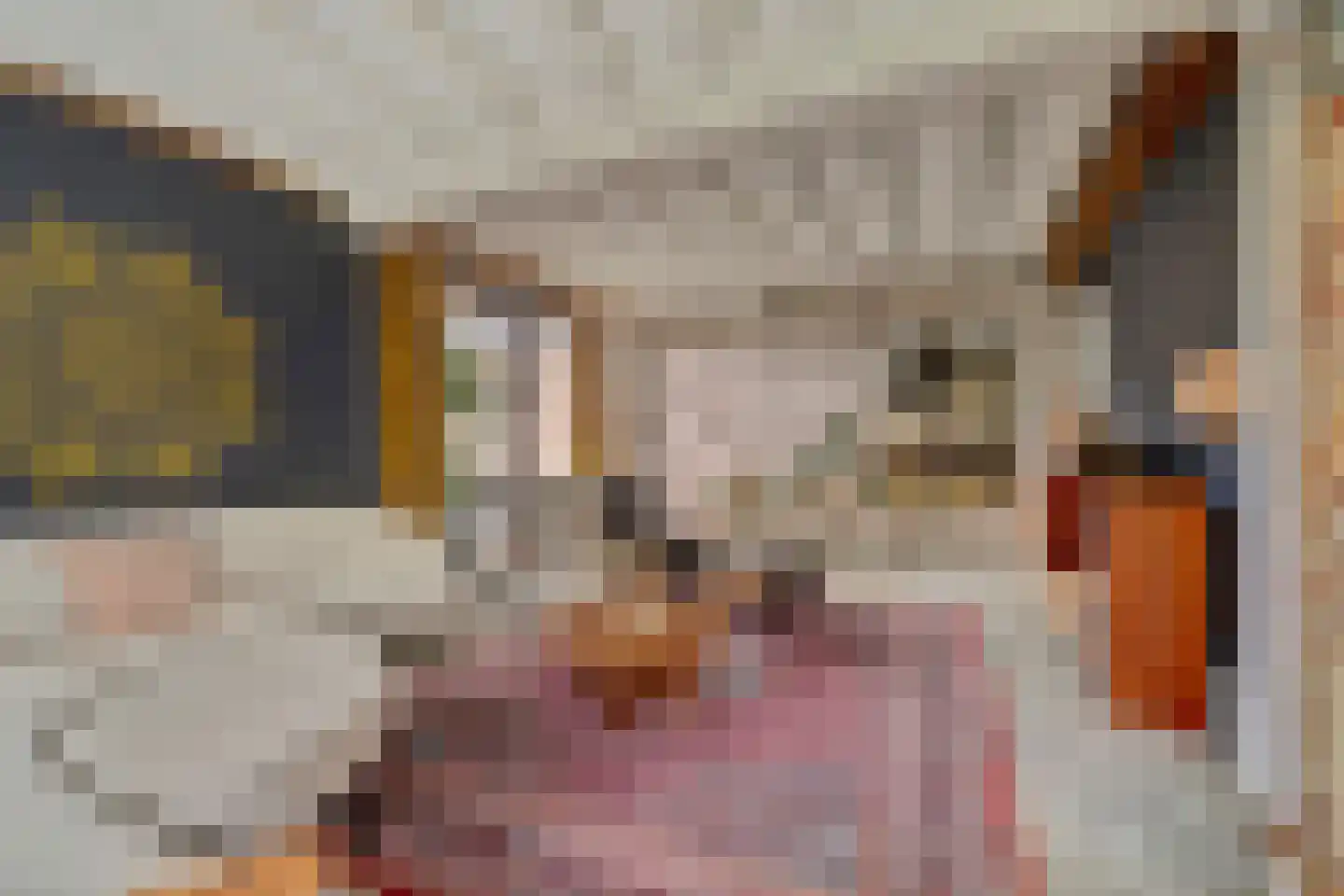 Burggraaf 22 Meerkerk thumbnail 6