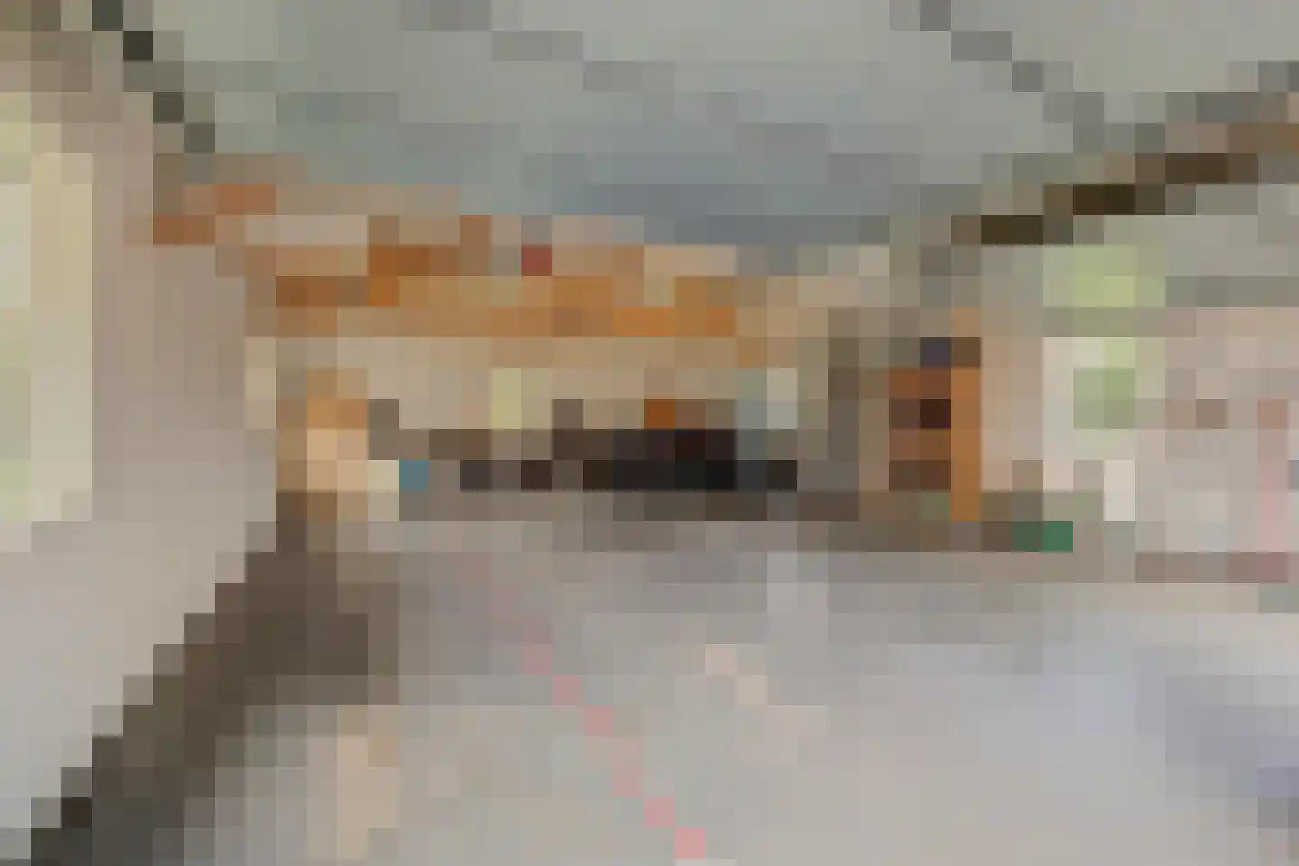 Burggraaf 22 Meerkerk thumbnail 61