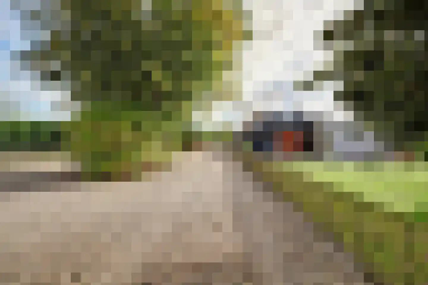 Burggraaf 22 Meerkerk thumbnail 64