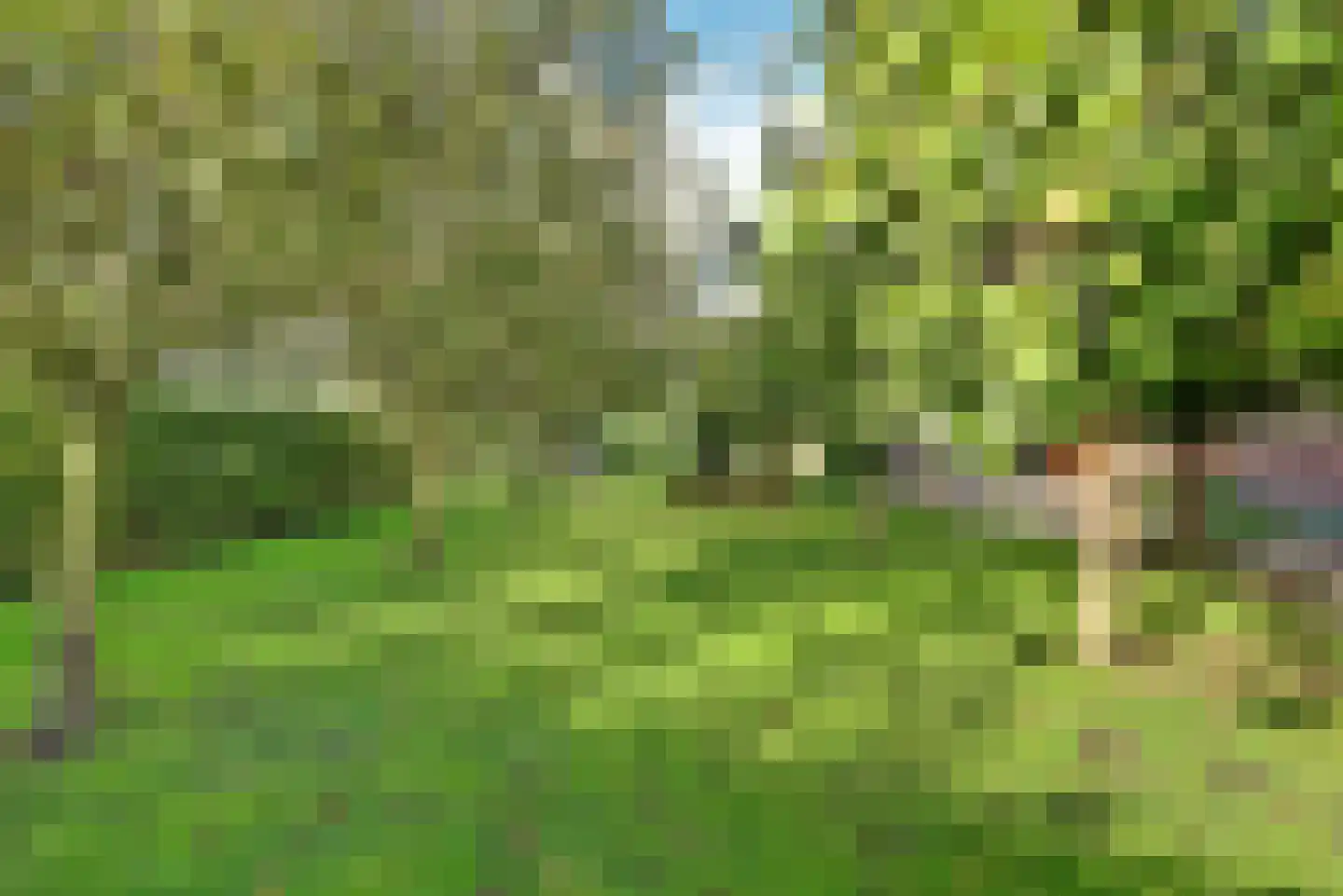 Burggraaf 22 Meerkerk thumbnail 67