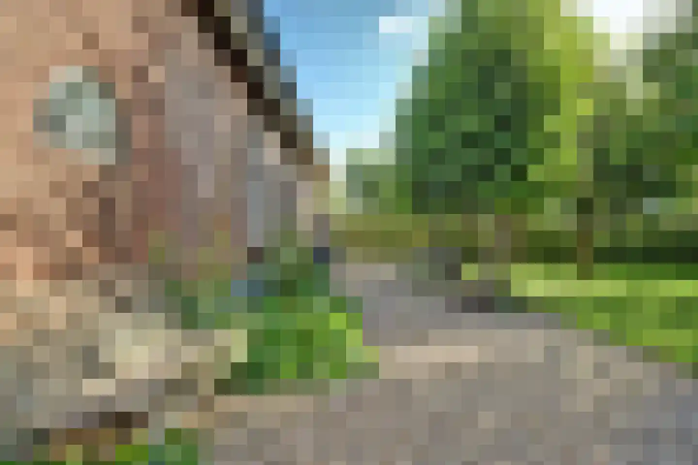 Burggraaf 22 Meerkerk thumbnail 69