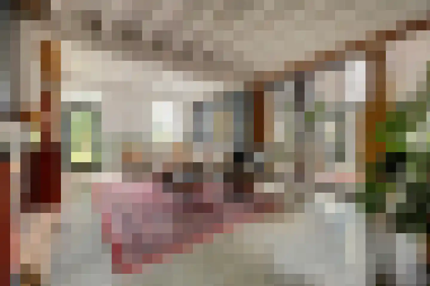 Burggraaf 22 Meerkerk thumbnail 7