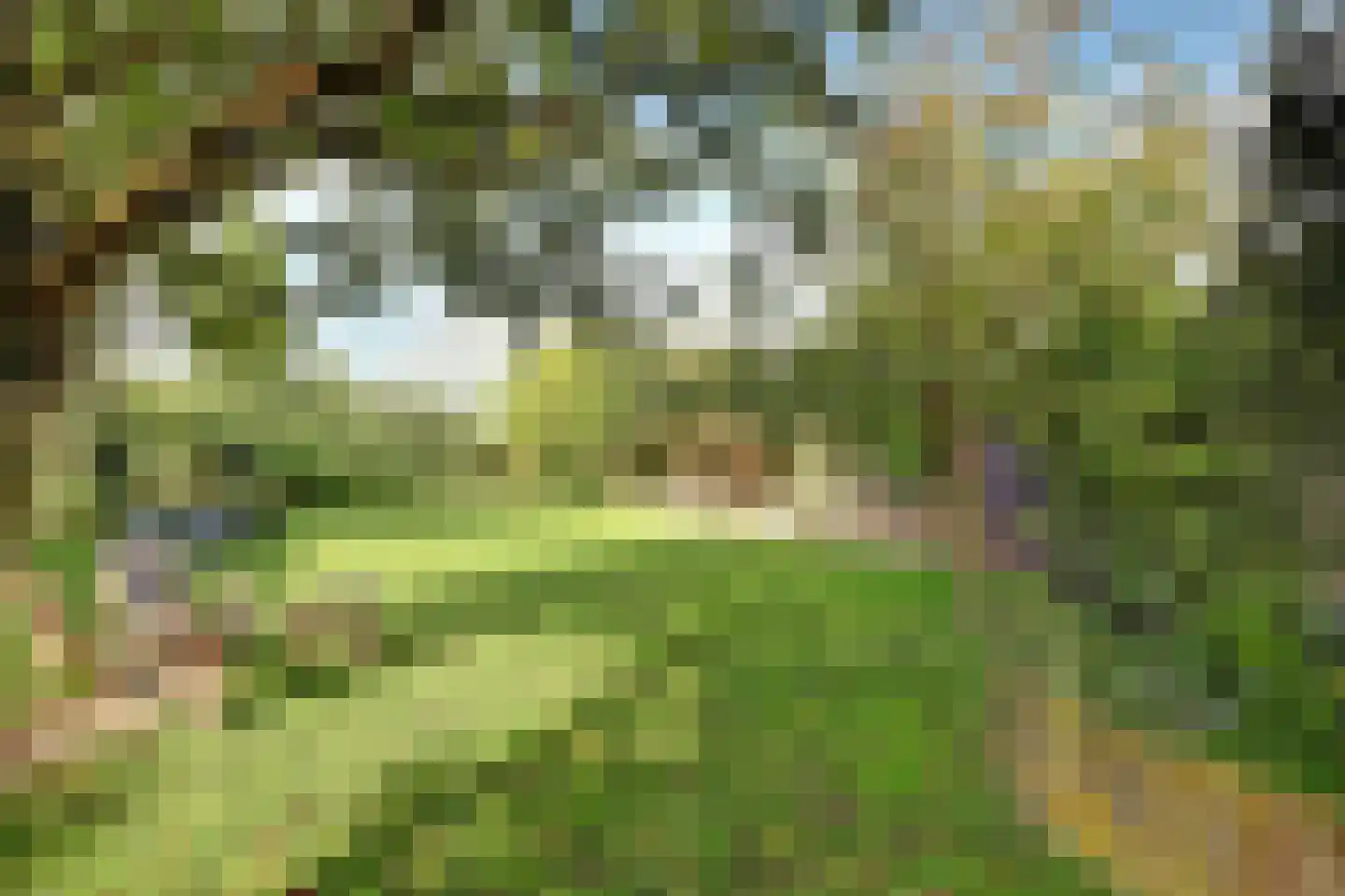 Burggraaf 22 Meerkerk thumbnail 71