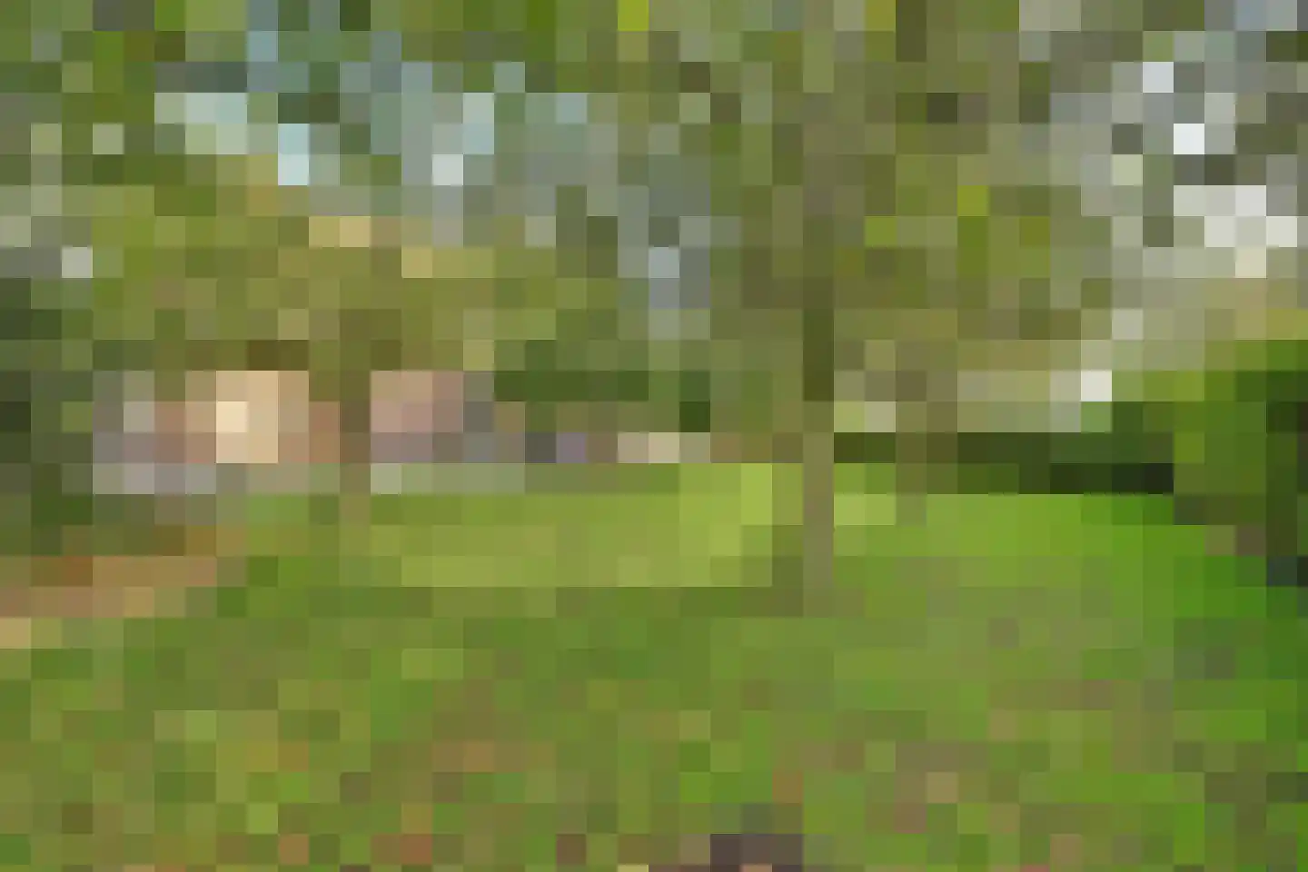 Burggraaf 22 Meerkerk thumbnail 72