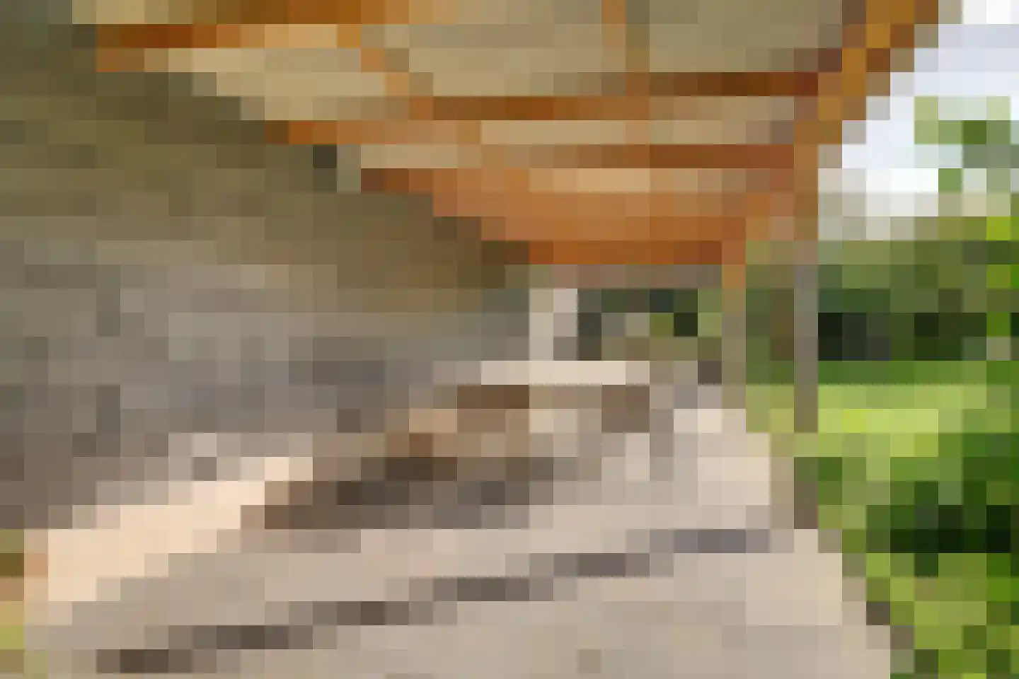 Burggraaf 22 Meerkerk thumbnail 76