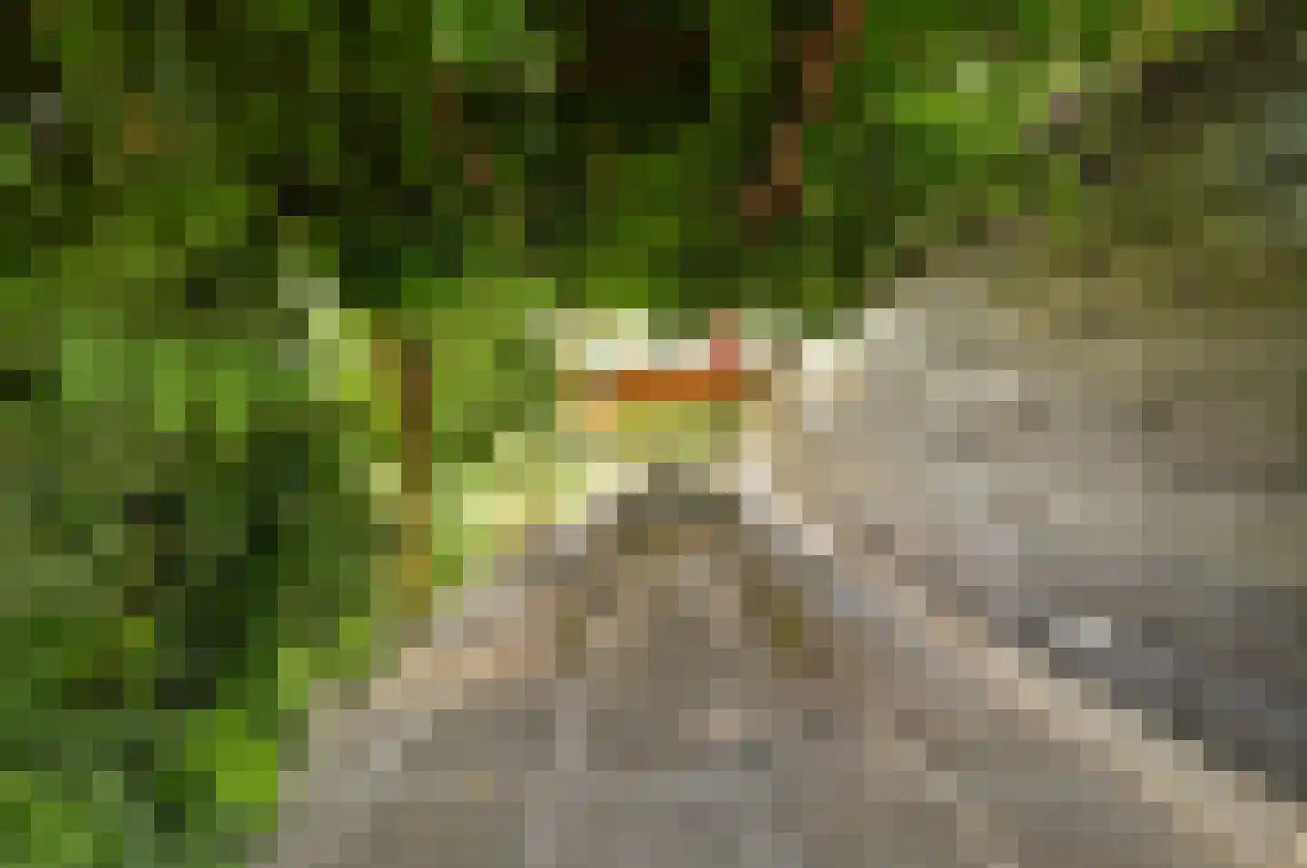 Burggraaf 22 Meerkerk thumbnail 78