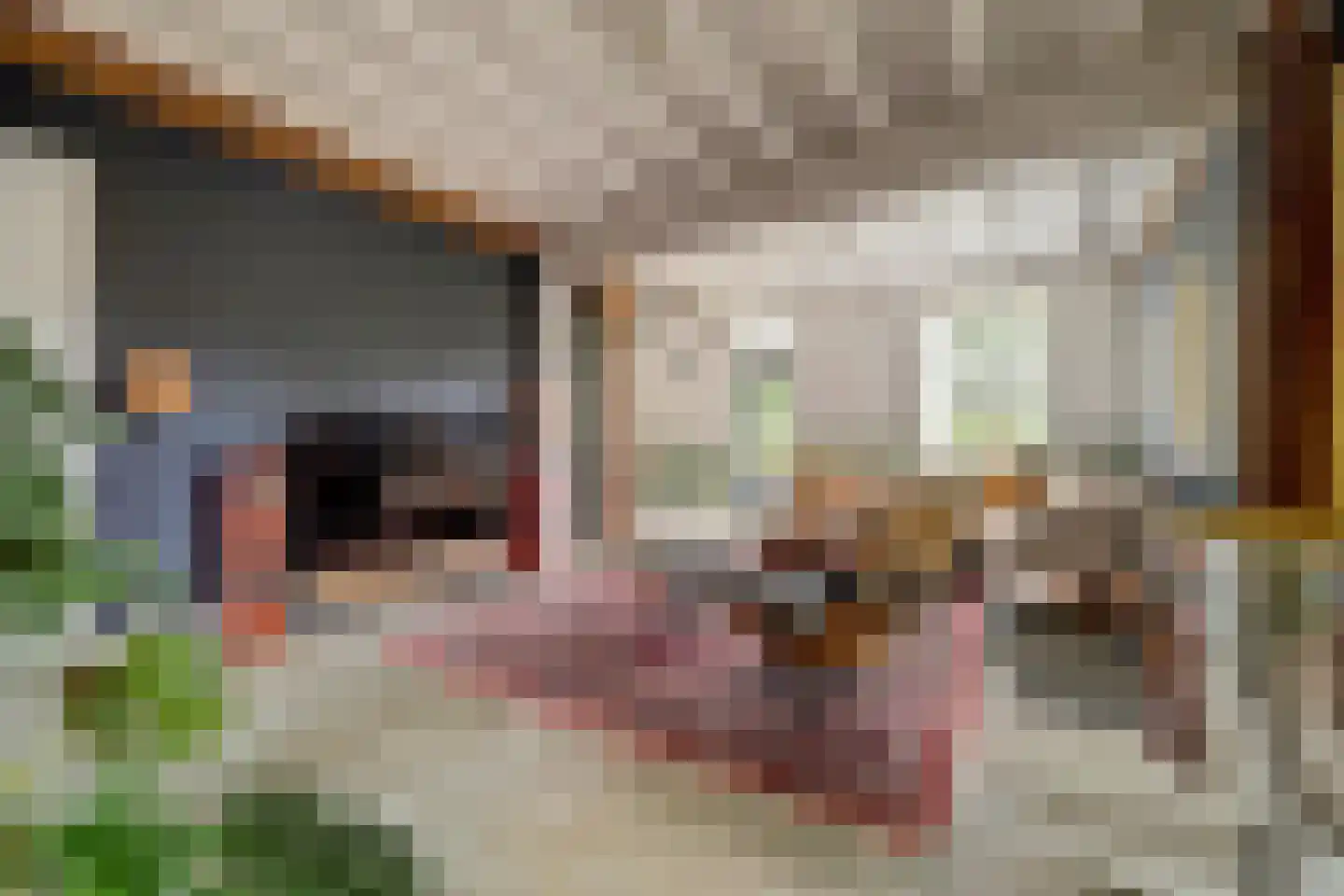 Burggraaf 22 Meerkerk thumbnail 8