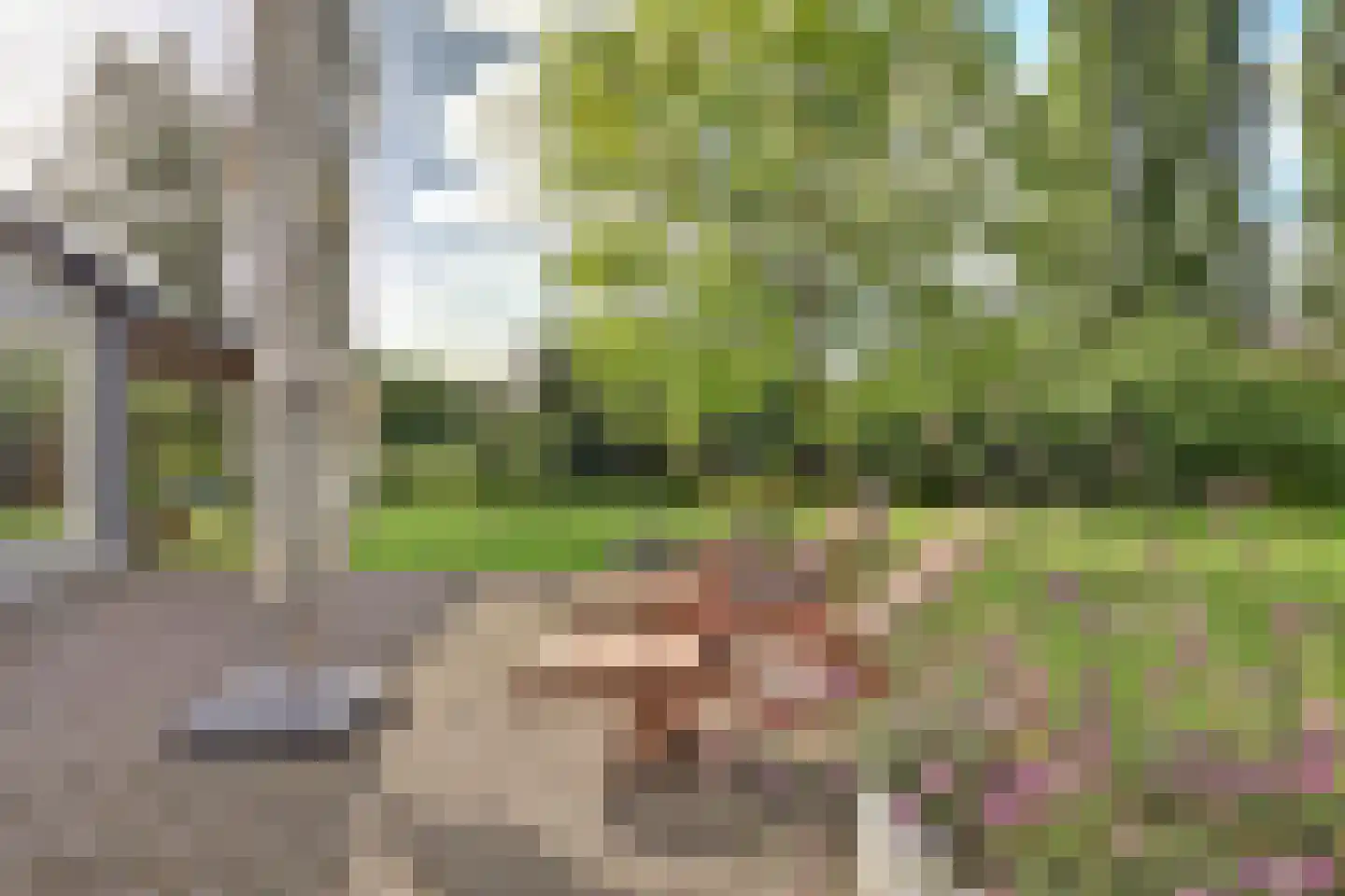Burggraaf 22 Meerkerk thumbnail 81