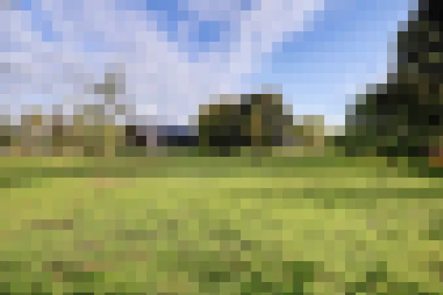 Burggraaf 22 Meerkerk thumbnail 83
