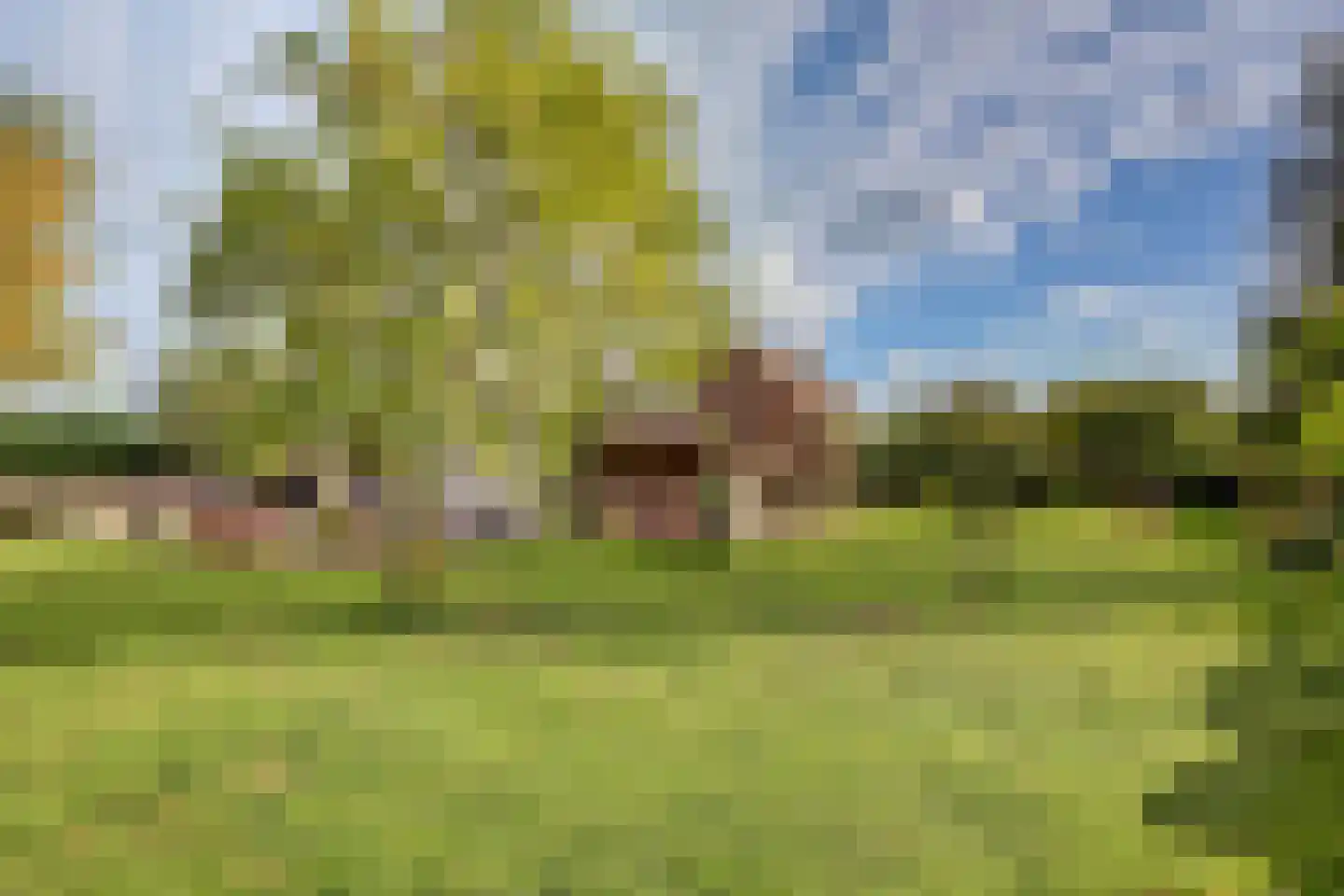 Burggraaf 22 Meerkerk thumbnail 85