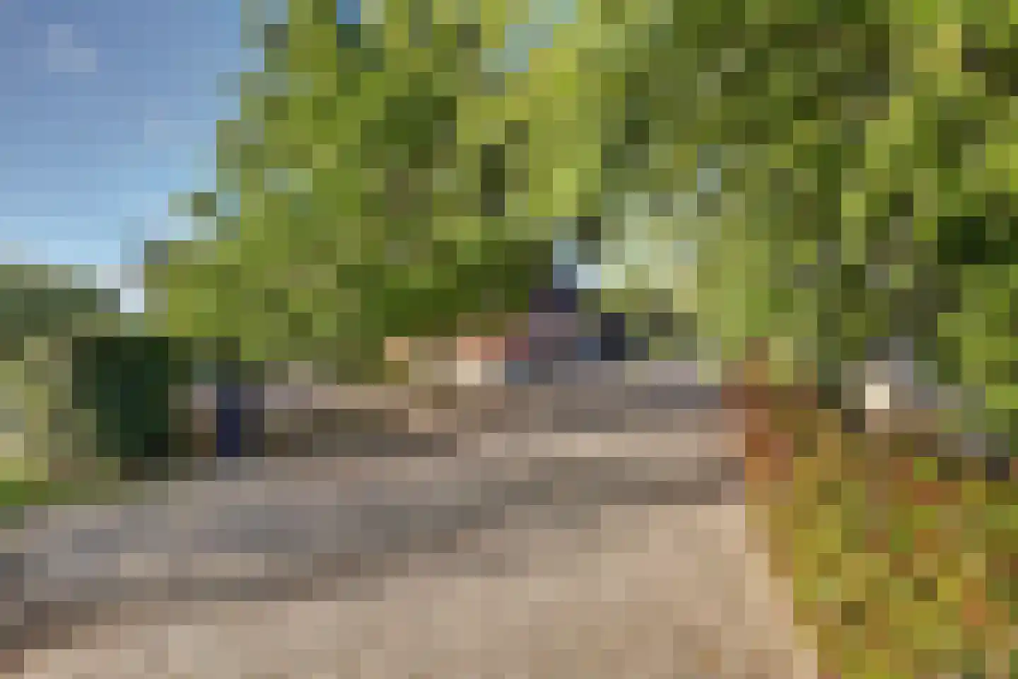 Burggraaf 22 Meerkerk thumbnail 87