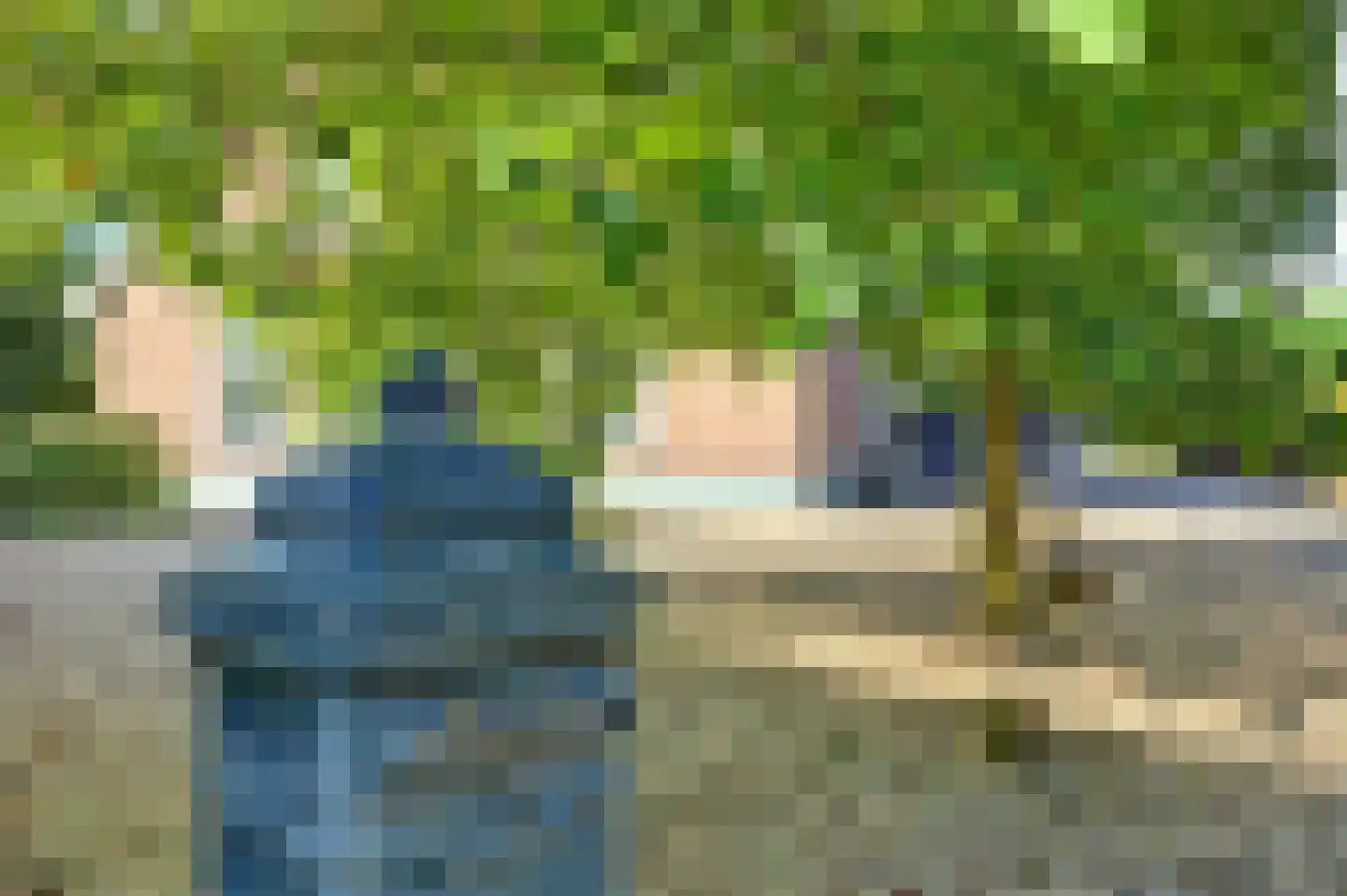 Burggraaf 22 Meerkerk thumbnail 88
