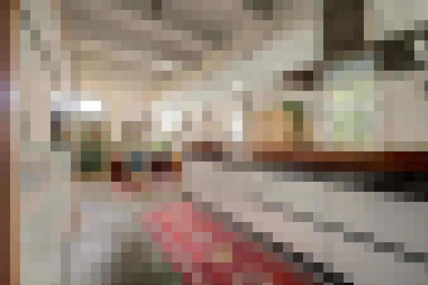 Burggraaf 22 Meerkerk thumbnail 9