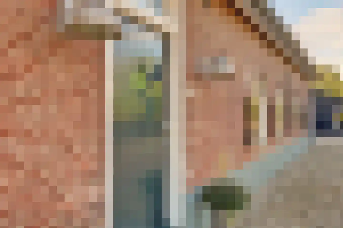 Burggraaf 22 Meerkerk thumbnail 92