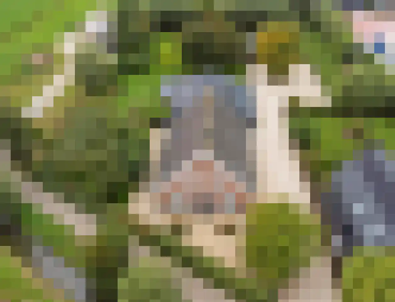 Burggraaf 22 Meerkerk thumbnail 94