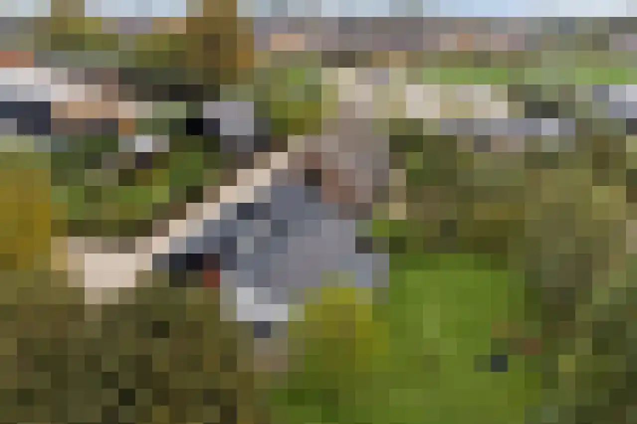 Burggraaf 22 Meerkerk thumbnail 95