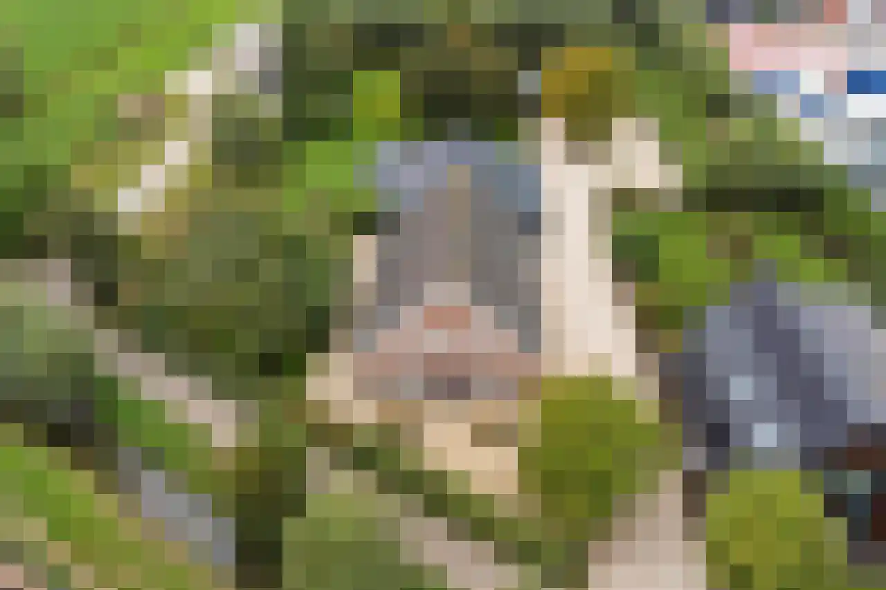 Burggraaf 22 Meerkerk thumbnail 96