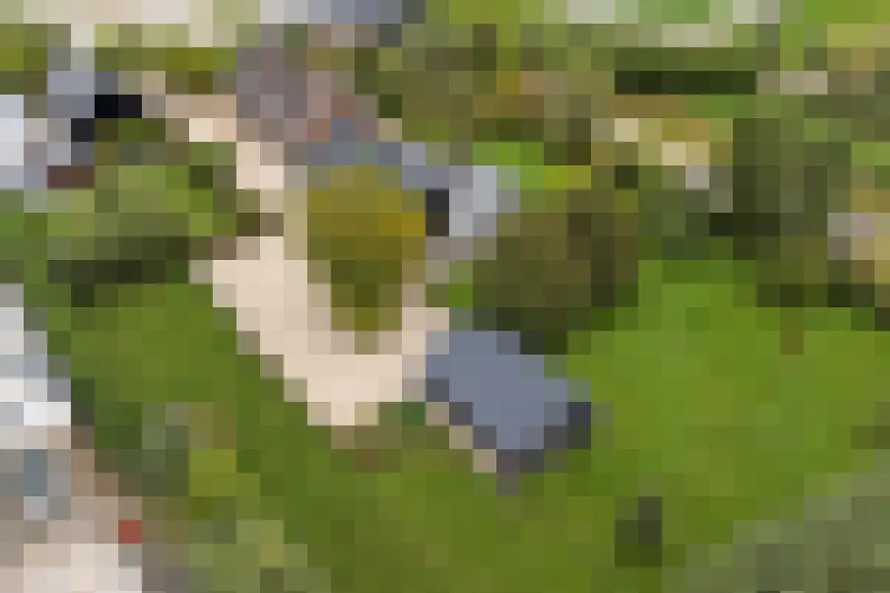 Burggraaf 22 Meerkerk thumbnail 98