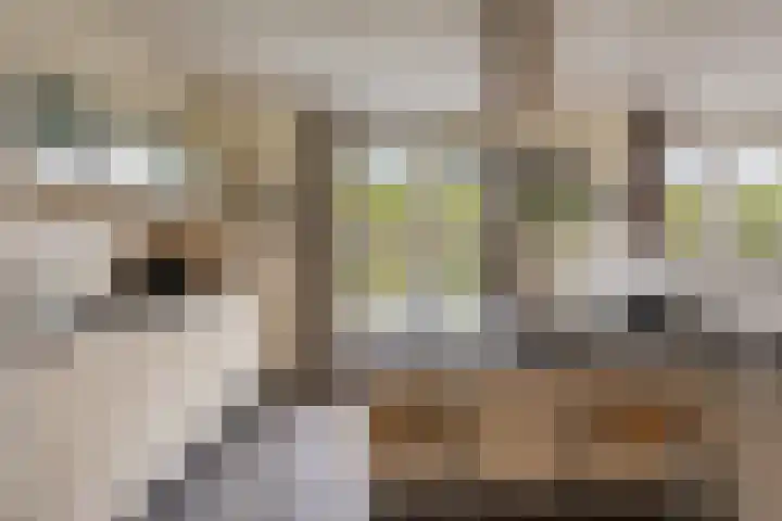 Burggraaf 23 Heerenveen thumbnail 11