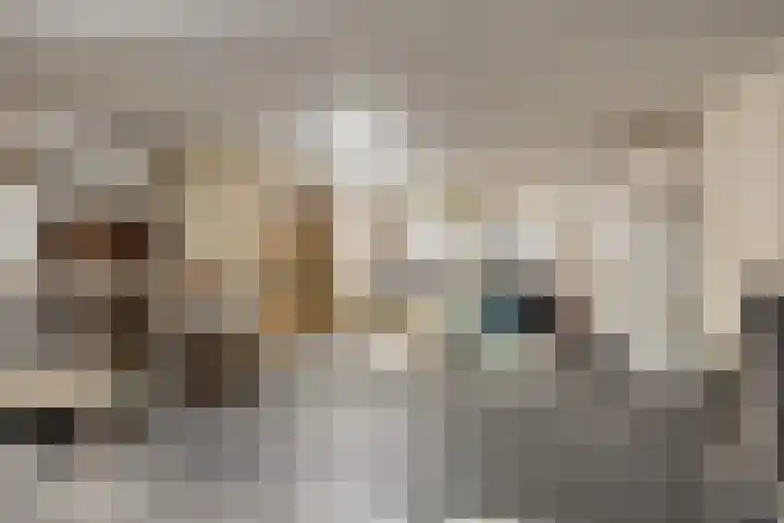 Burggraaf 23 Heerenveen thumbnail 17