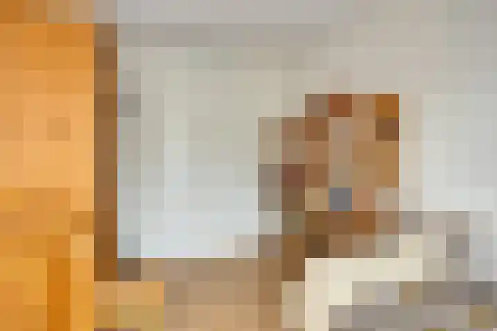 Burggraaf 23 Heerenveen thumbnail 24