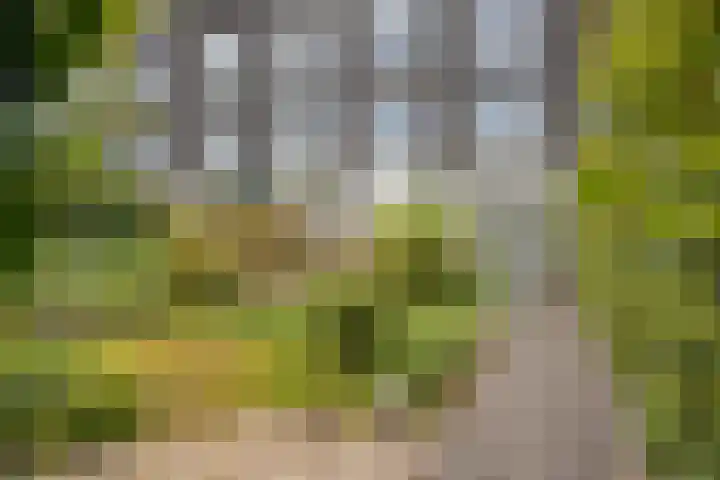 Burggraaf 23 Heerenveen thumbnail 28