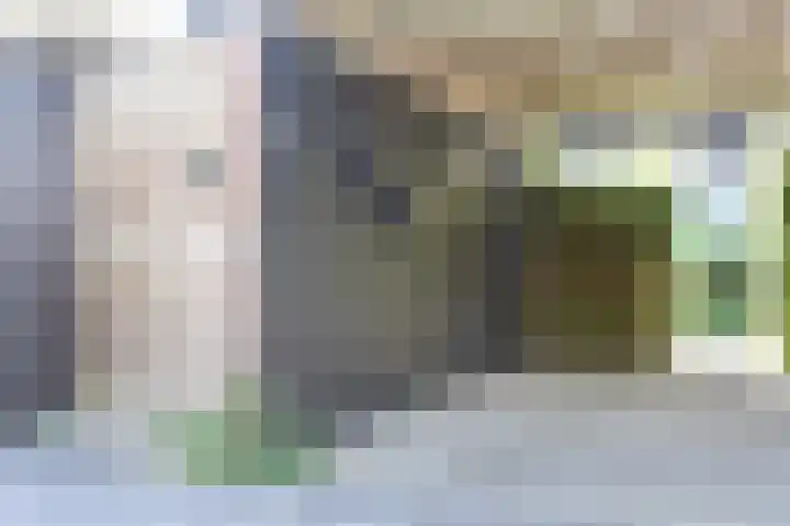 Burggraaf 23 Heerenveen thumbnail 30