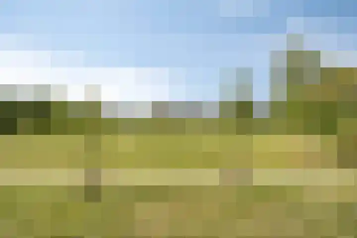 Burggraaf 23 Heerenveen thumbnail 32