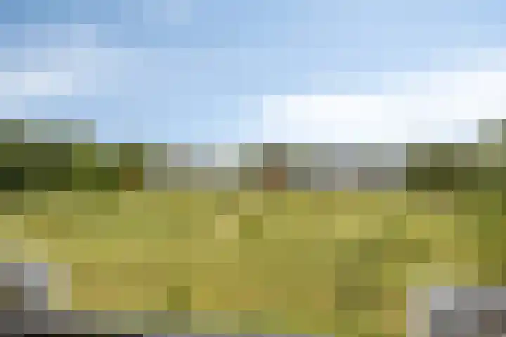 Burggraaf 23 Heerenveen thumbnail 33