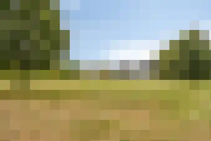 Burggraaf 23 Heerenveen thumbnail 34