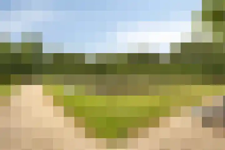 Burggraaf 23 Heerenveen thumbnail 35