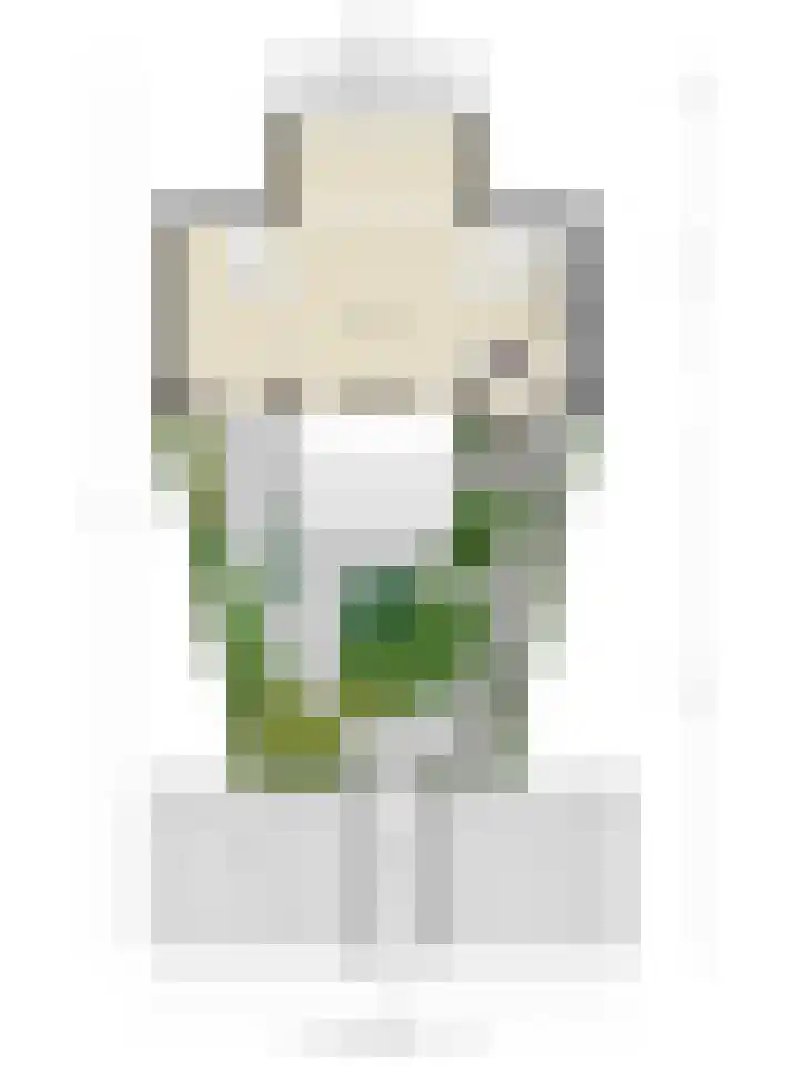 Burggraaf 23 Heerenveen thumbnail 37