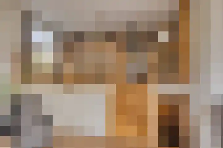 Burggraaf 23 Heerenveen thumbnail 5