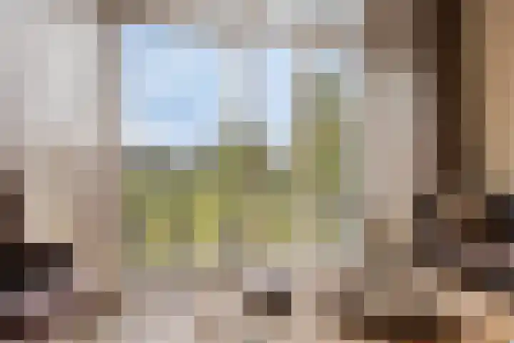 Burggraaf 23 Heerenveen thumbnail 8