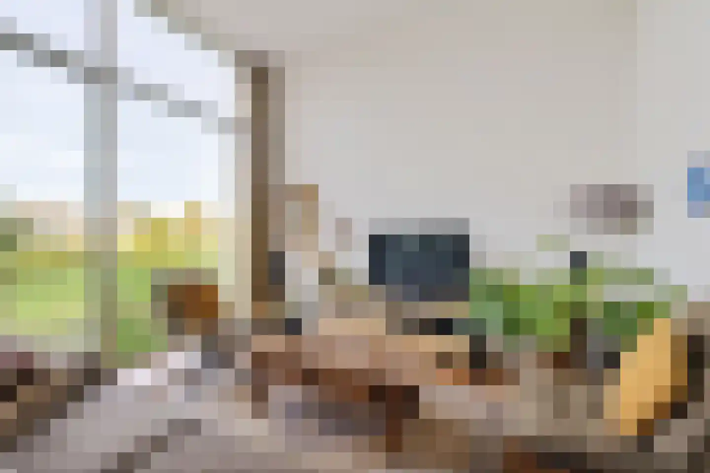 Burggraaf 25 Heerenveen thumbnail 18
