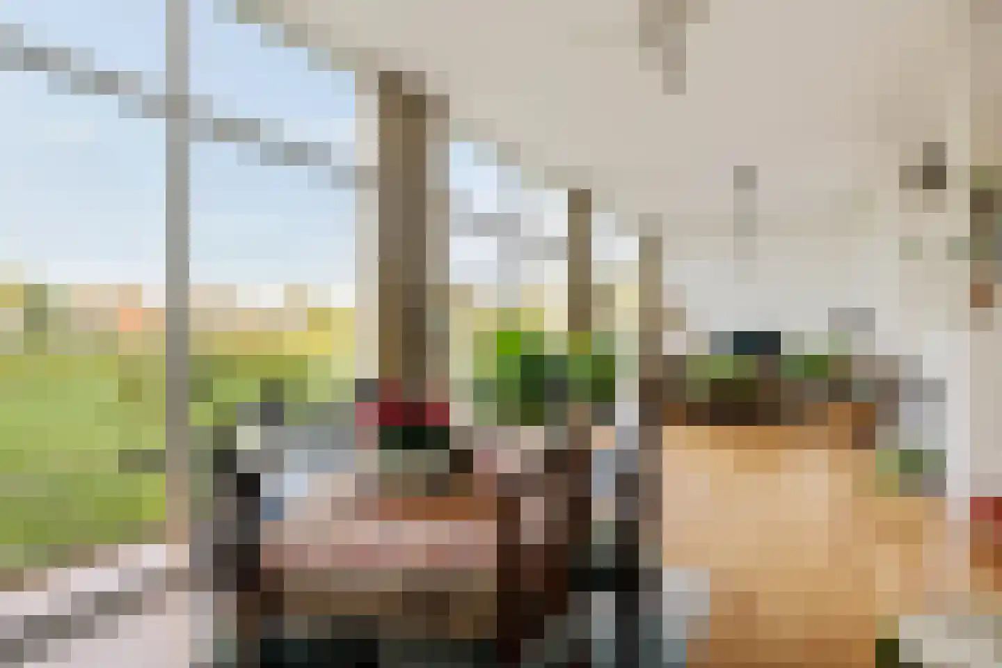 Burggraaf 25 Heerenveen thumbnail 21