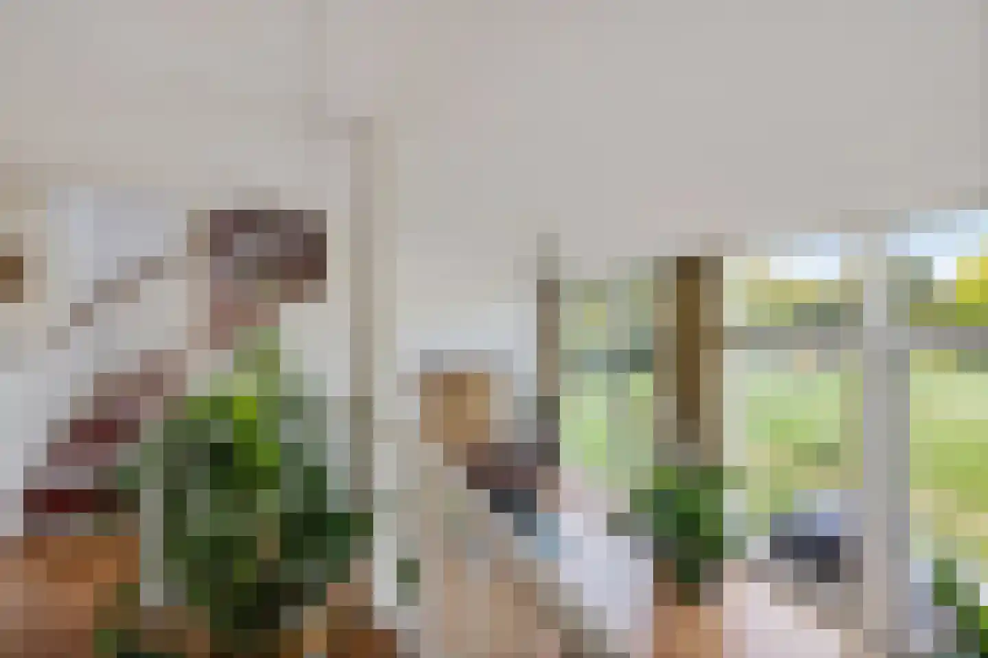Burggraaf 25 Heerenveen thumbnail 22