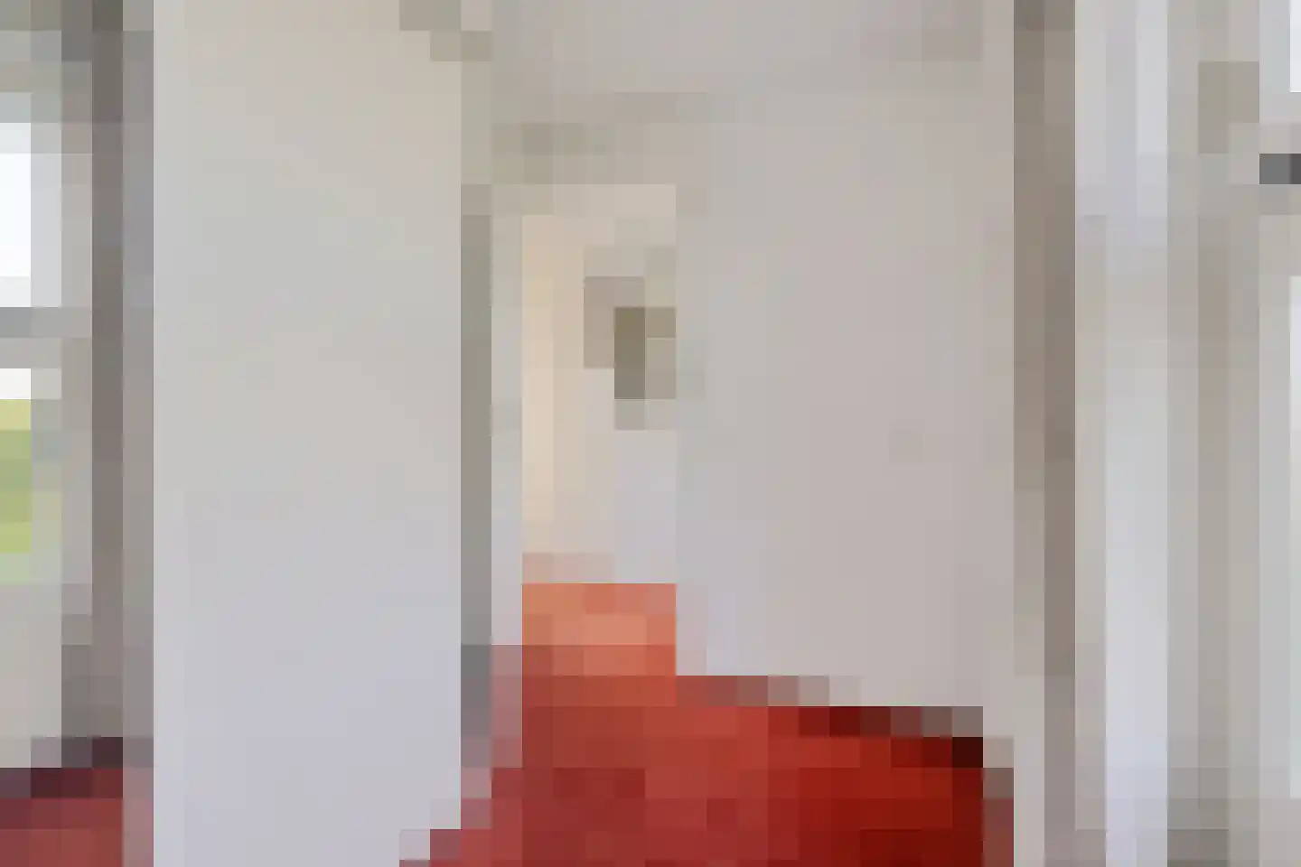 Burggraaf 25 Heerenveen thumbnail 38