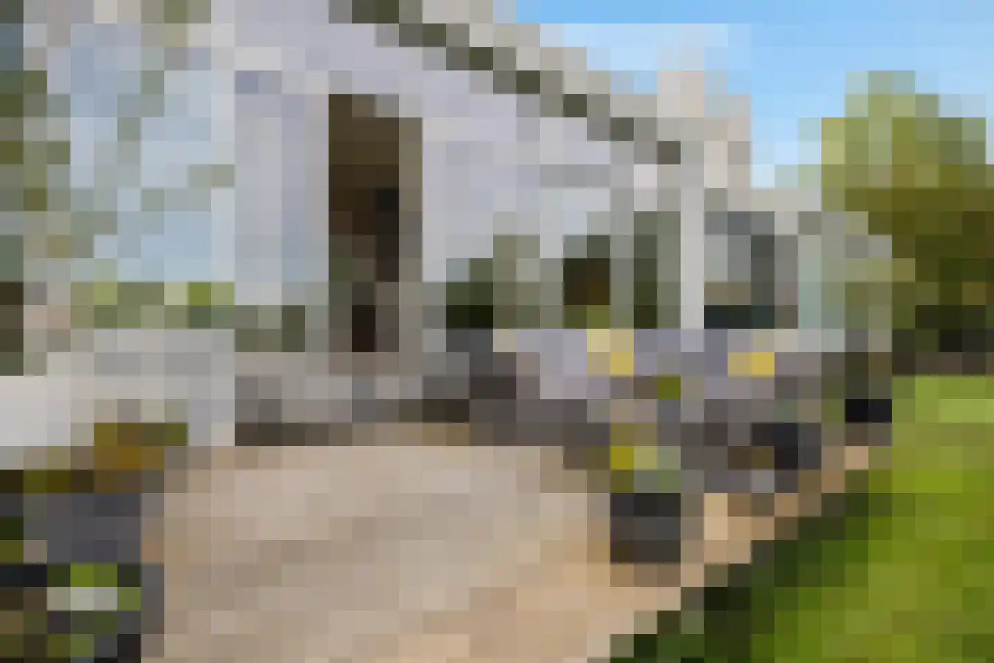 Burggraaf 25 Heerenveen thumbnail 43