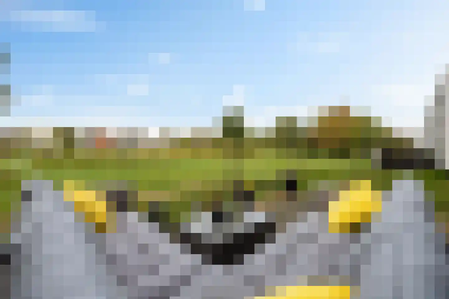Burggraaf 25 Heerenveen thumbnail 46