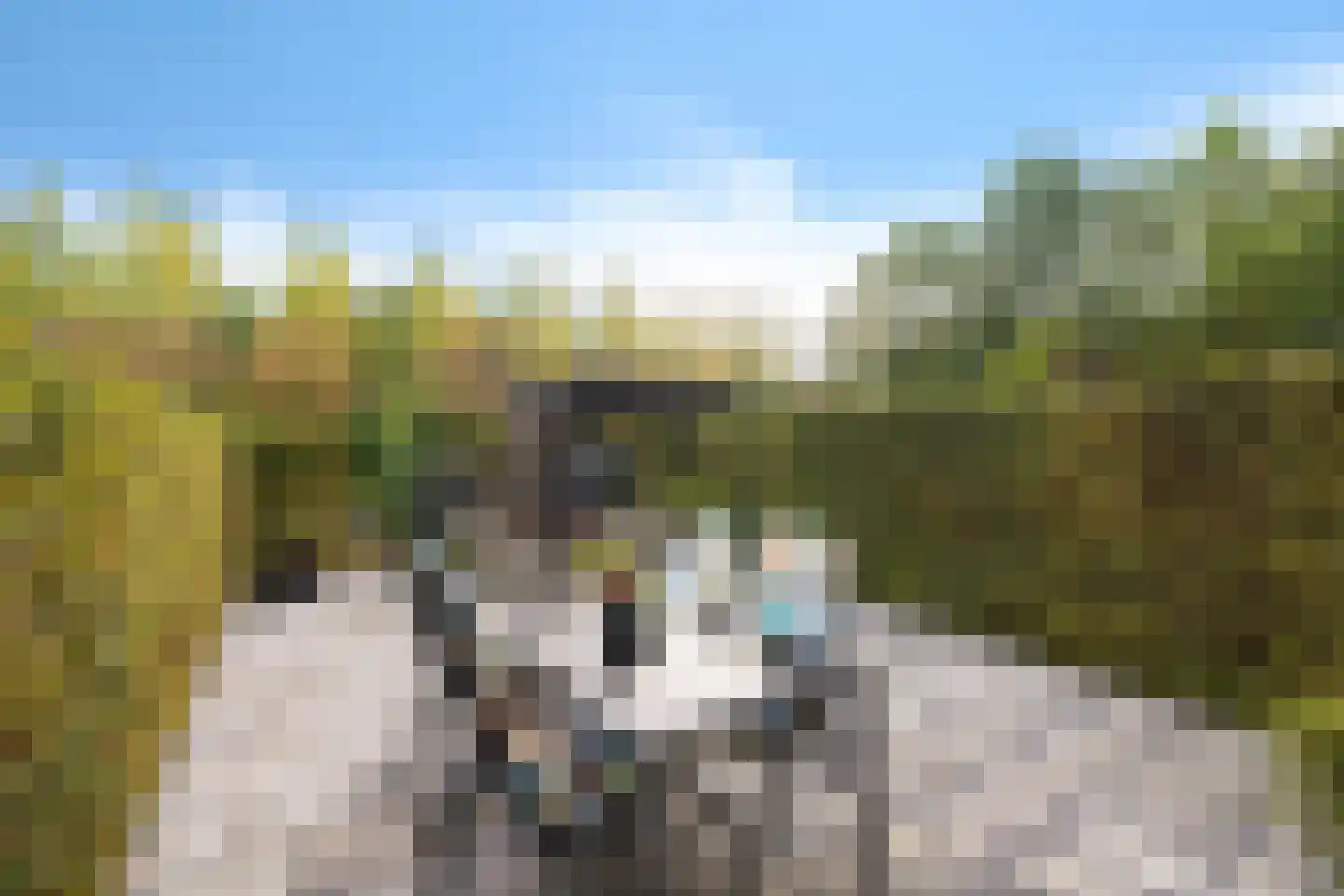 Burggraaf 25 Heerenveen thumbnail 9