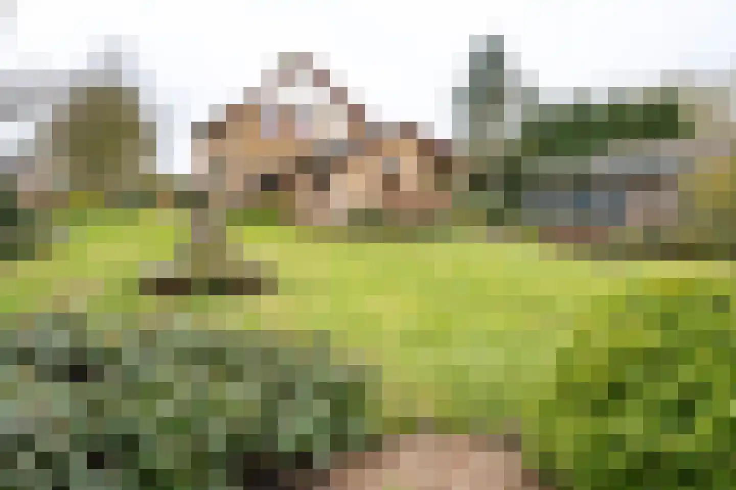 Burggraaf 25 Loenen