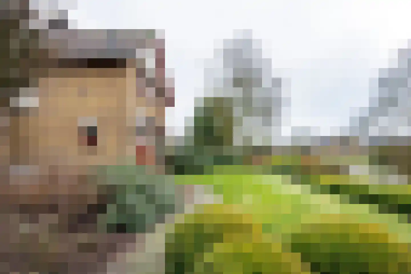 Burggraaf 25 Loenen thumbnail 21
