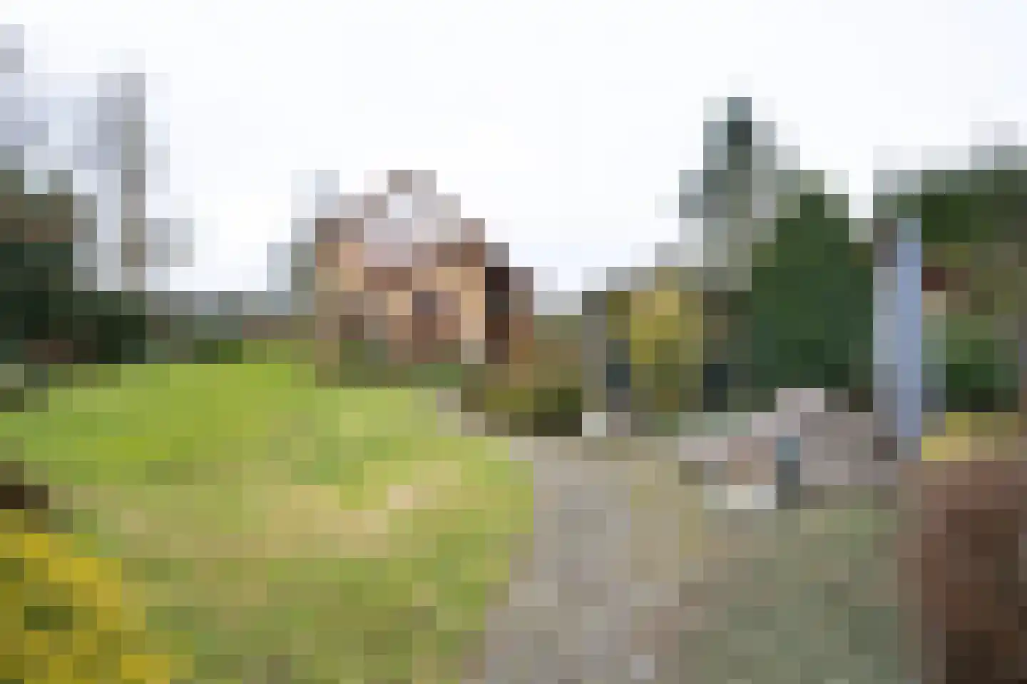 Burggraaf 25 Loenen thumbnail 27