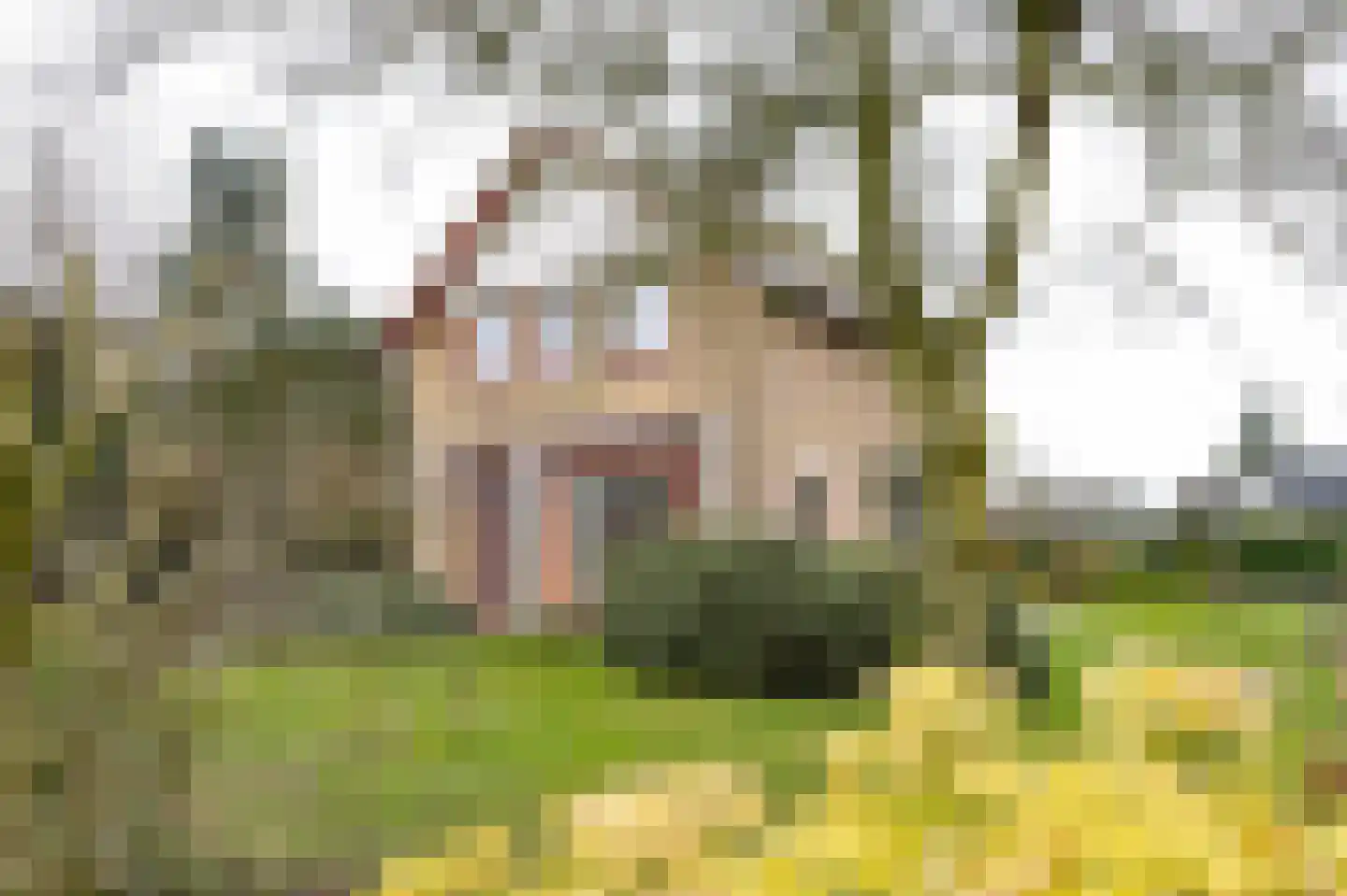Burggraaf 25 Loenen thumbnail 32