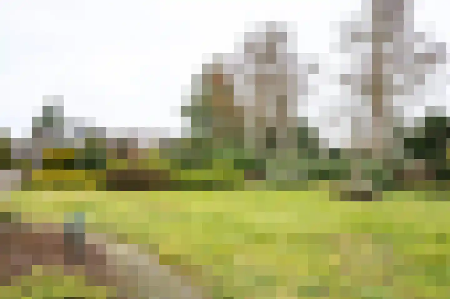 Burggraaf 25 Loenen thumbnail 4
