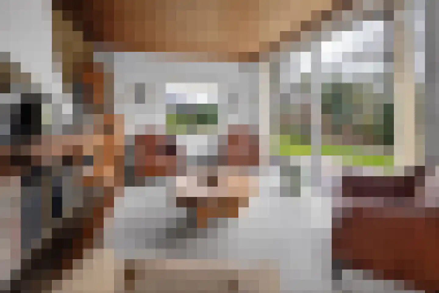 Burggraaf 25 Loenen thumbnail 6