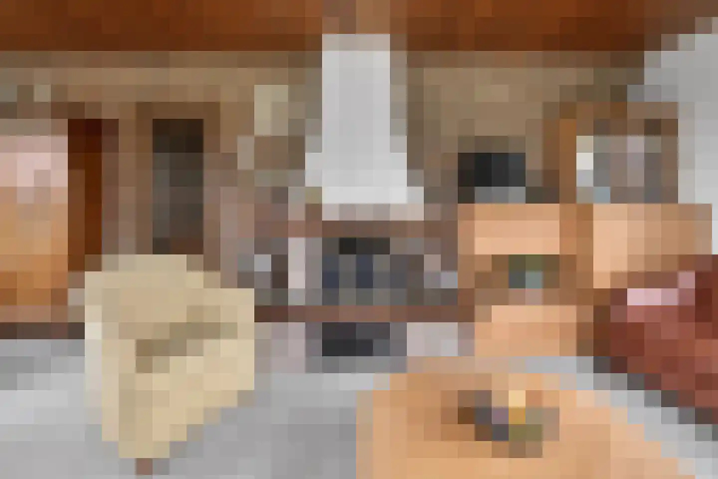 Burggraaf 25 Loenen thumbnail 7