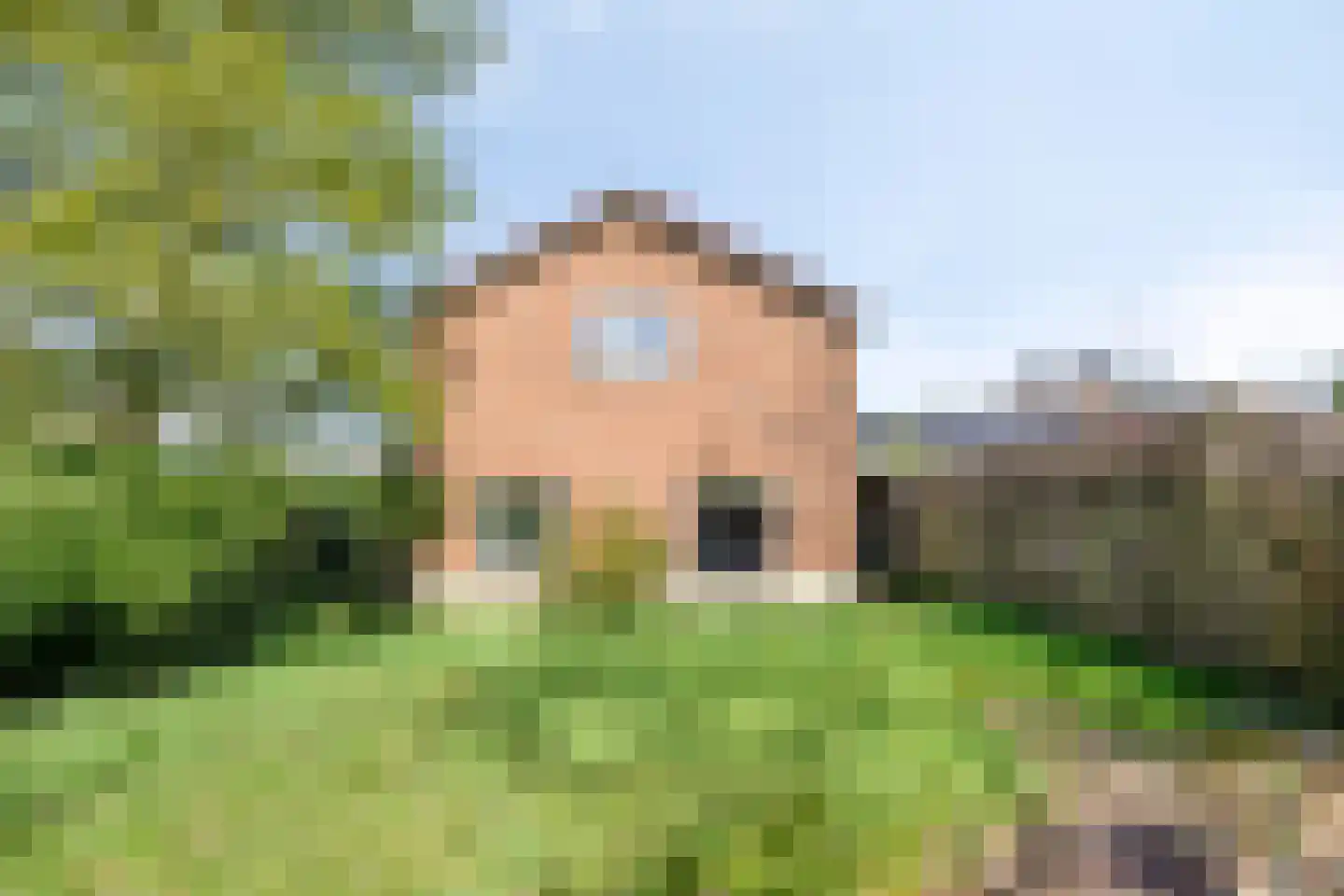 Burggraaf 26 Loenen thumbnail 60