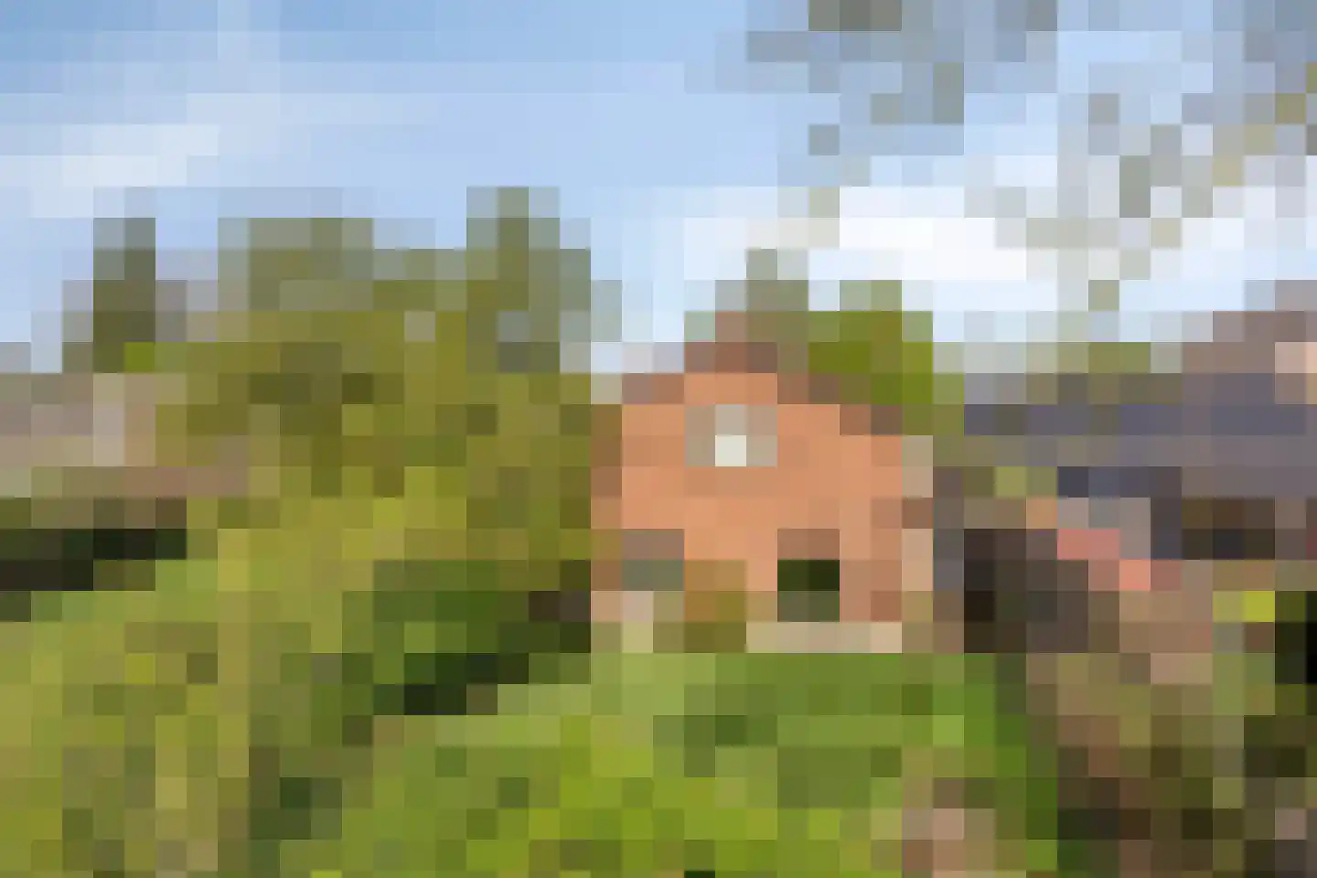 Burggraaf 26 Loenen thumbnail 61